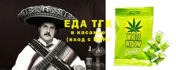 хмурый Арсеньев
