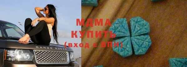 хмурый Арсеньев