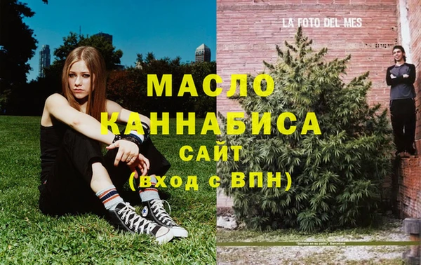 хмурый Арсеньев