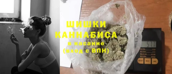 хмурый Арсеньев