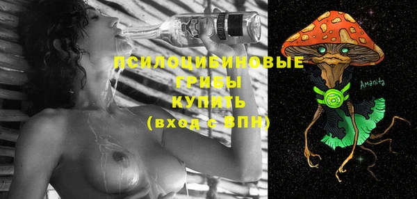 хмурый Арсеньев