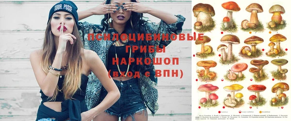 хмурый Арсеньев