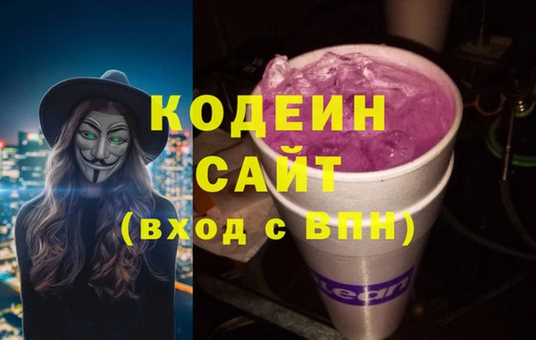 хмурый Арсеньев